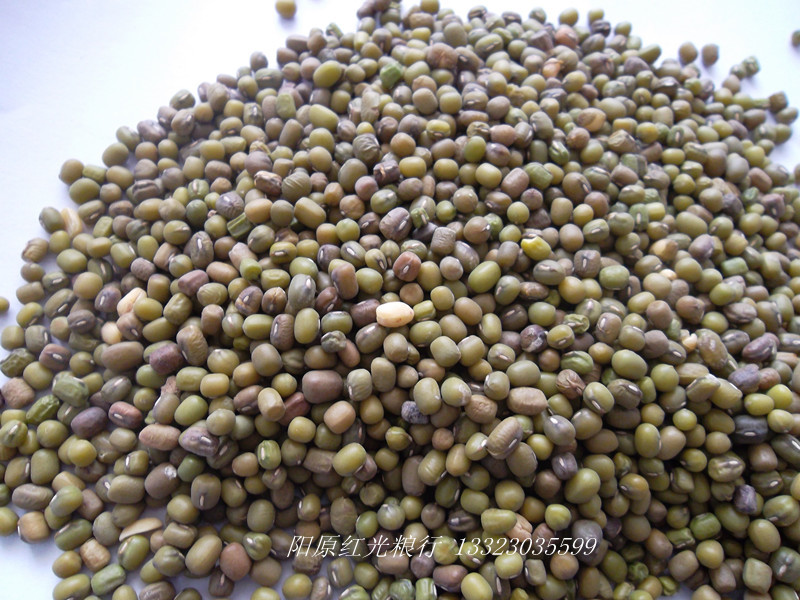 豆类-【原产地】供应优质绿豆下料 (比重料)-豆