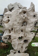 苏州太湖石_太湖石价格_优质太湖石批发\/采购