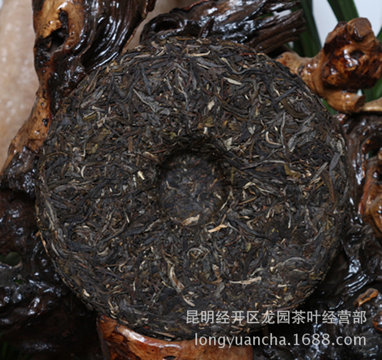 【云南普洱茶|冰岛古树茶富裕泰|冰岛生态古树