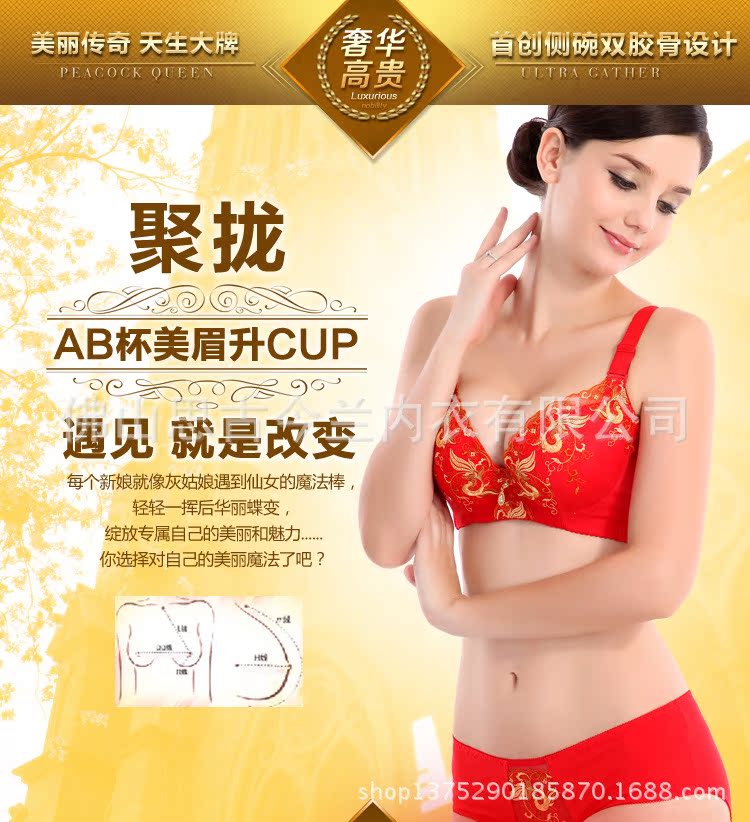 <em>文胸</em>-<em>思古今兰文胸</em>正品特价2013聚拢调整型小