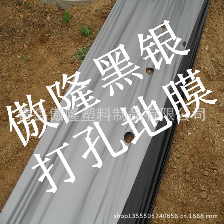 黑银打孔膜