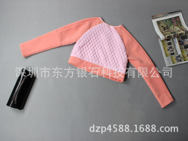 批发采购连衣裙-欧美大牌2013秋冬明星走秀同