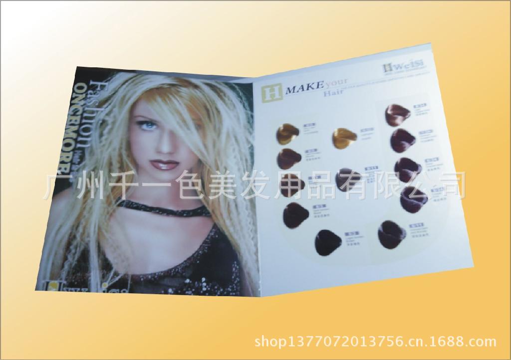 供应毛板<em>色板</em>色卡、染发膏毛板、染<em>头发</em>色卡、