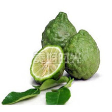 泰国柠檬_柠檬价格_优质柠檬批发\/采购