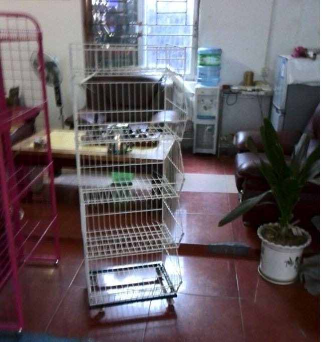 QQ图片20131207112241