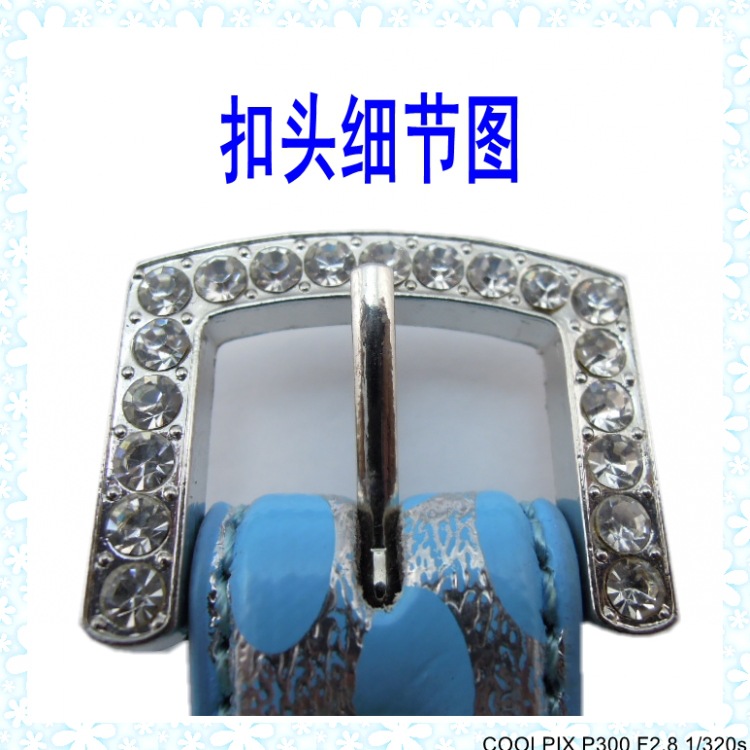 DSCN0980_conew1