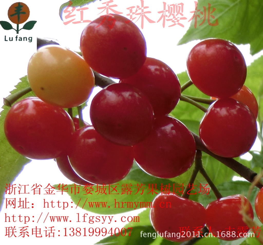 CIMG004_副本_副本