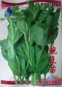 【豆苗菜】豆苗菜价格\/图片_豆苗菜批发\/采购_豆苗菜厂家\/供应商-阿里巴巴