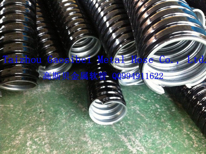 IMG_2069_副本_副本