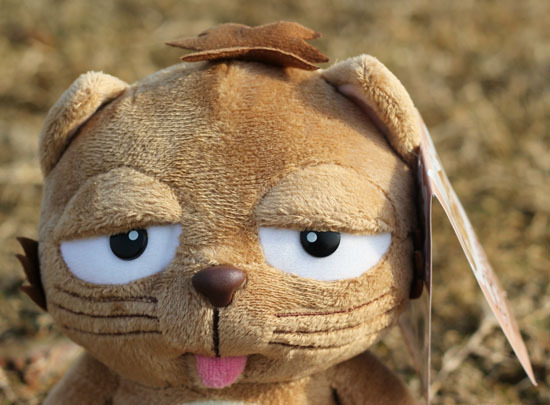 批发主君的太阳丁家猫公仔 大懒猫大脸猫dinga猫玩具 一件代发货