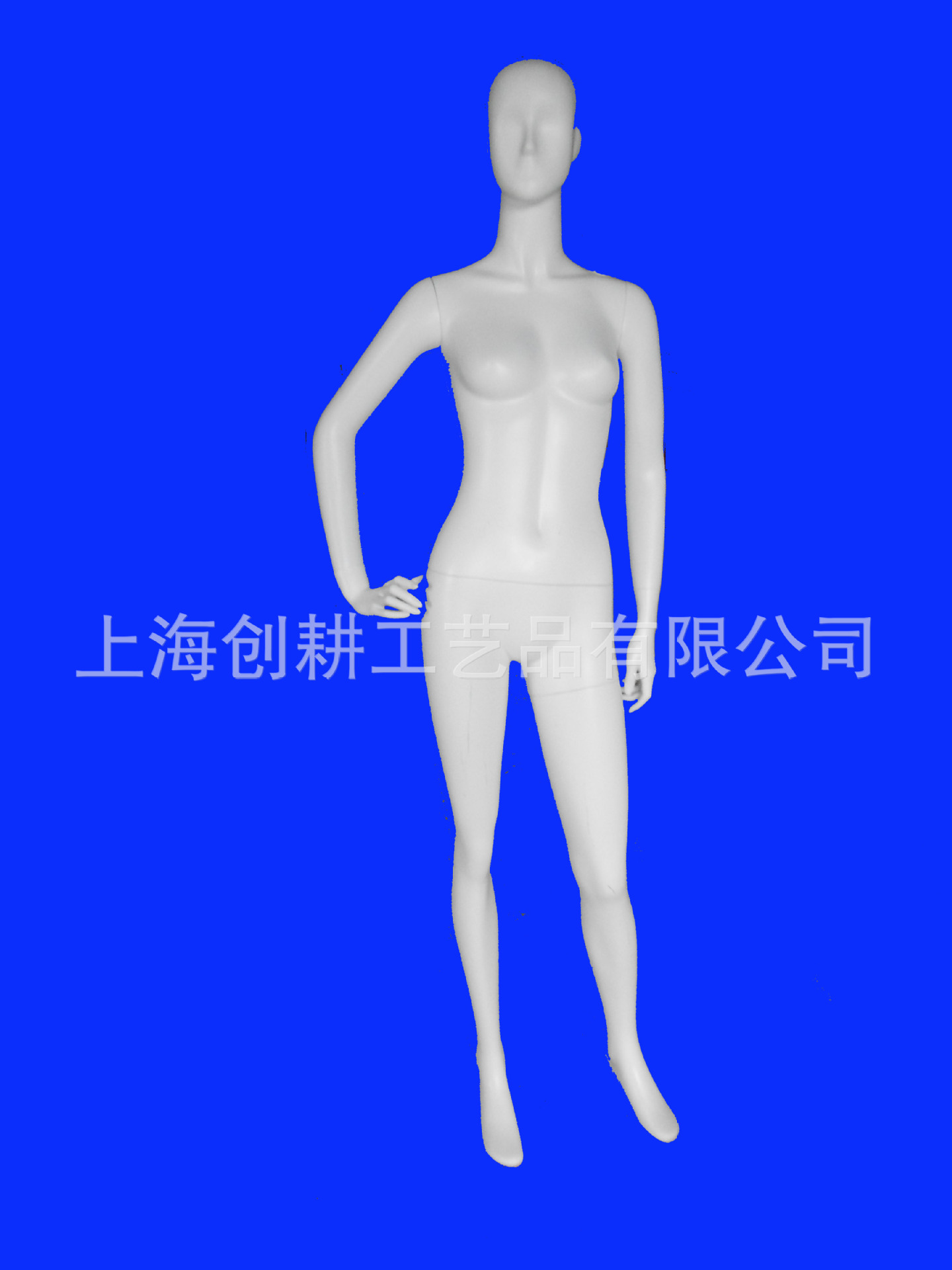女站模 132副本