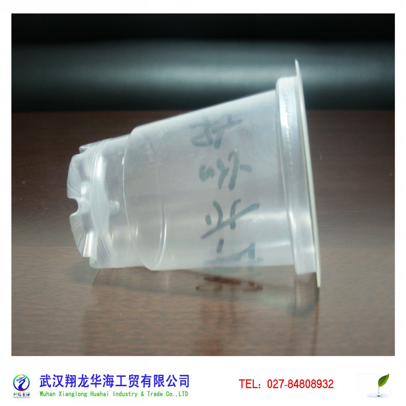 67-太空杯-3