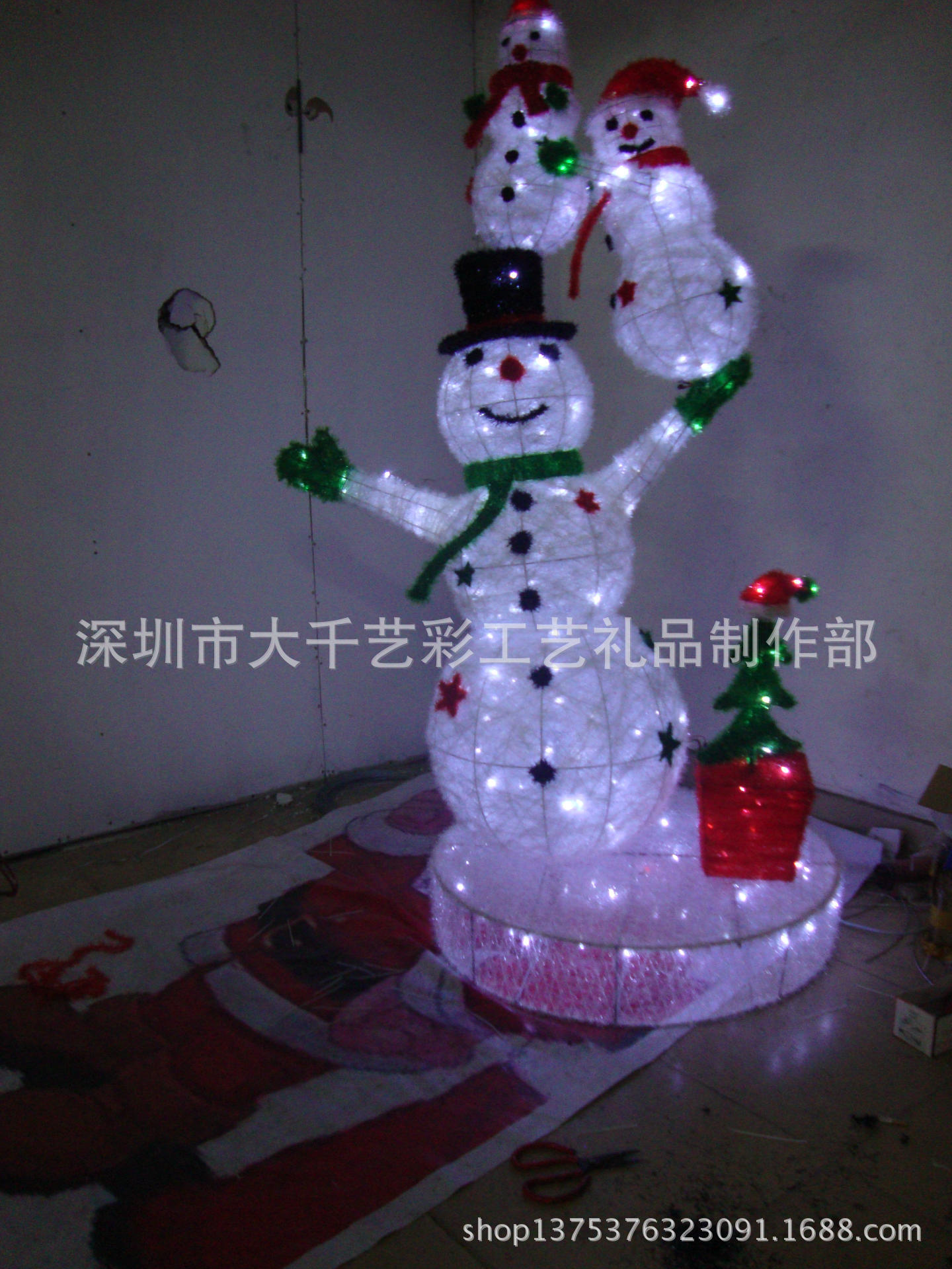 DSC03987