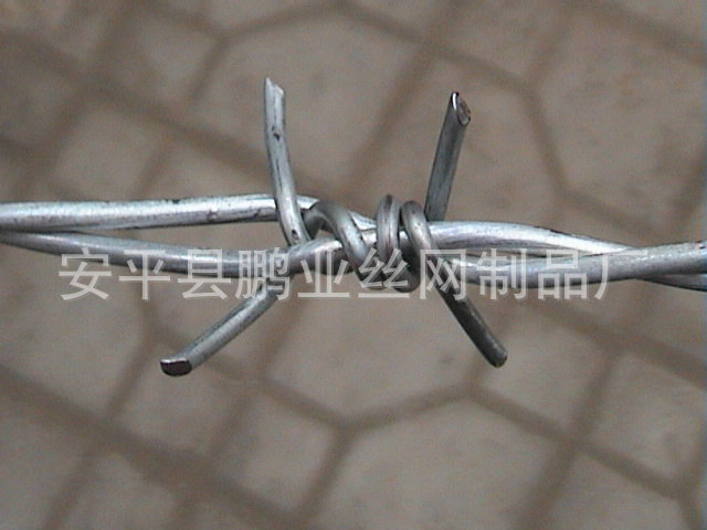 4a86533d2b987barbed%20wire19[1