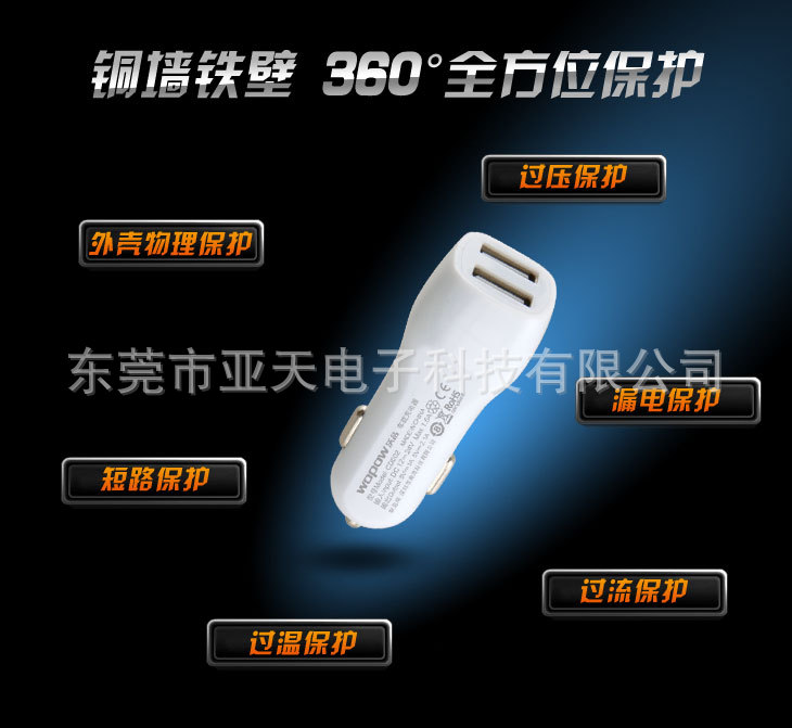 2-USB carcharger ) (6)