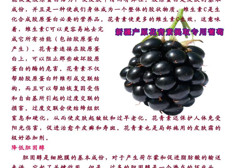原花青素发布_04