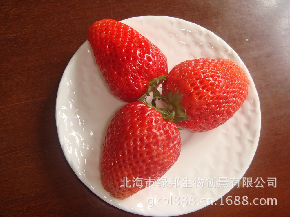 供应各种花卉盆栽园艺种子<em>绿化苗木</em>果树-<em>图片</em>