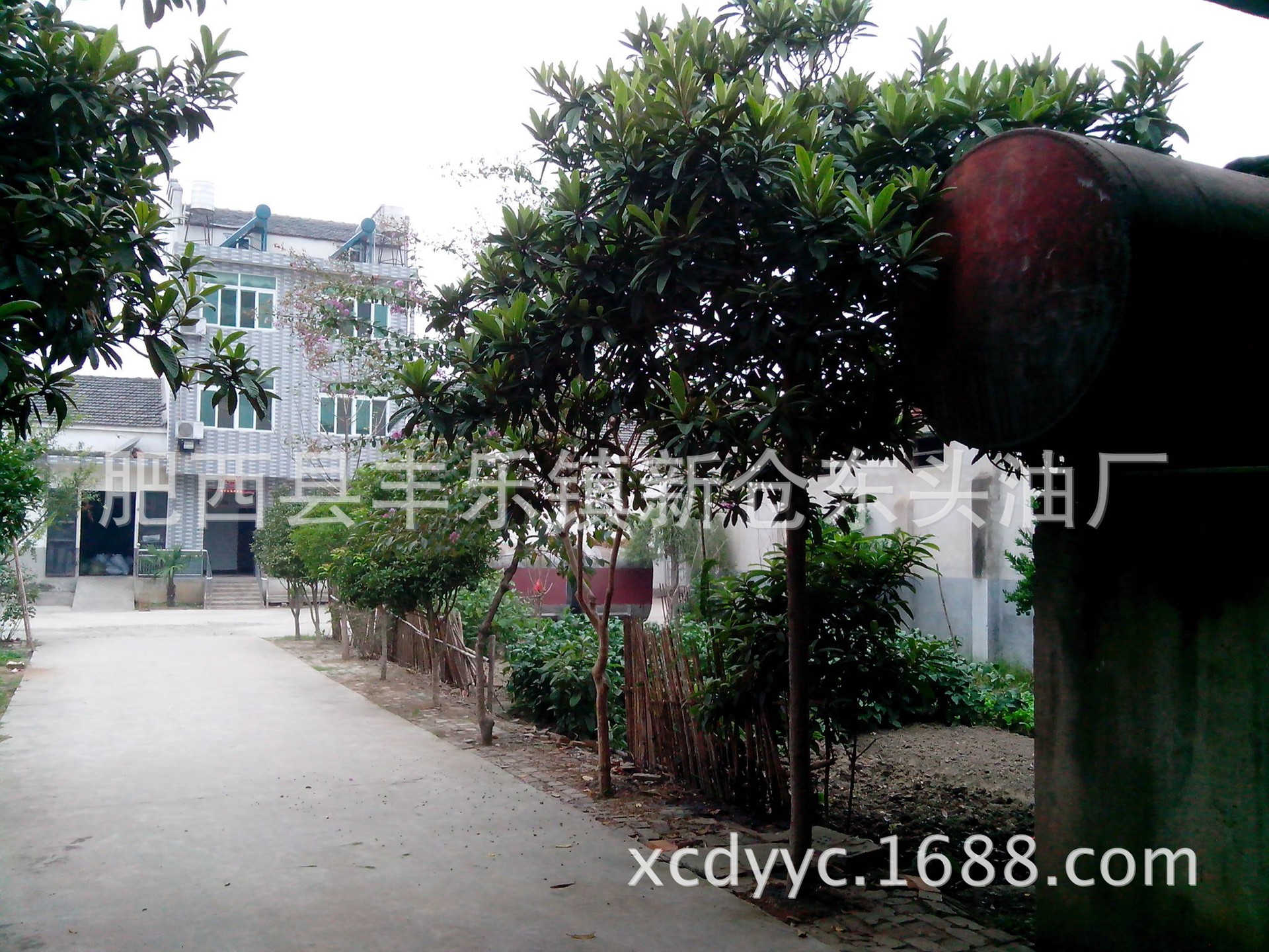 油菜籽-油菜籽枯--阿里巴巴采购平台求购产品详