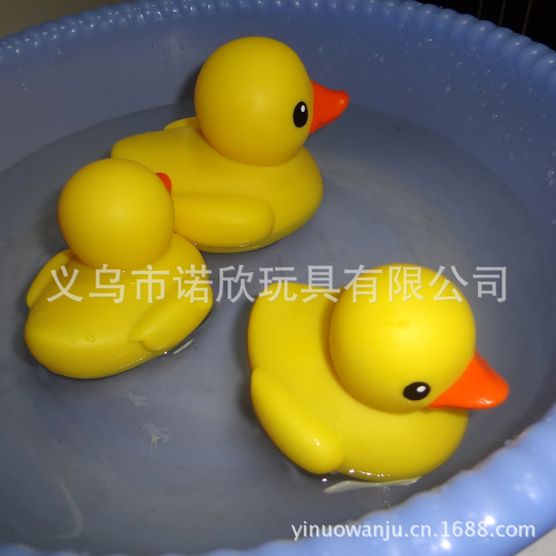 浮水鴨