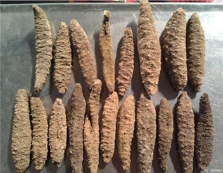 干制水产品-纯淡干上等北极海参 小有刺参 野生