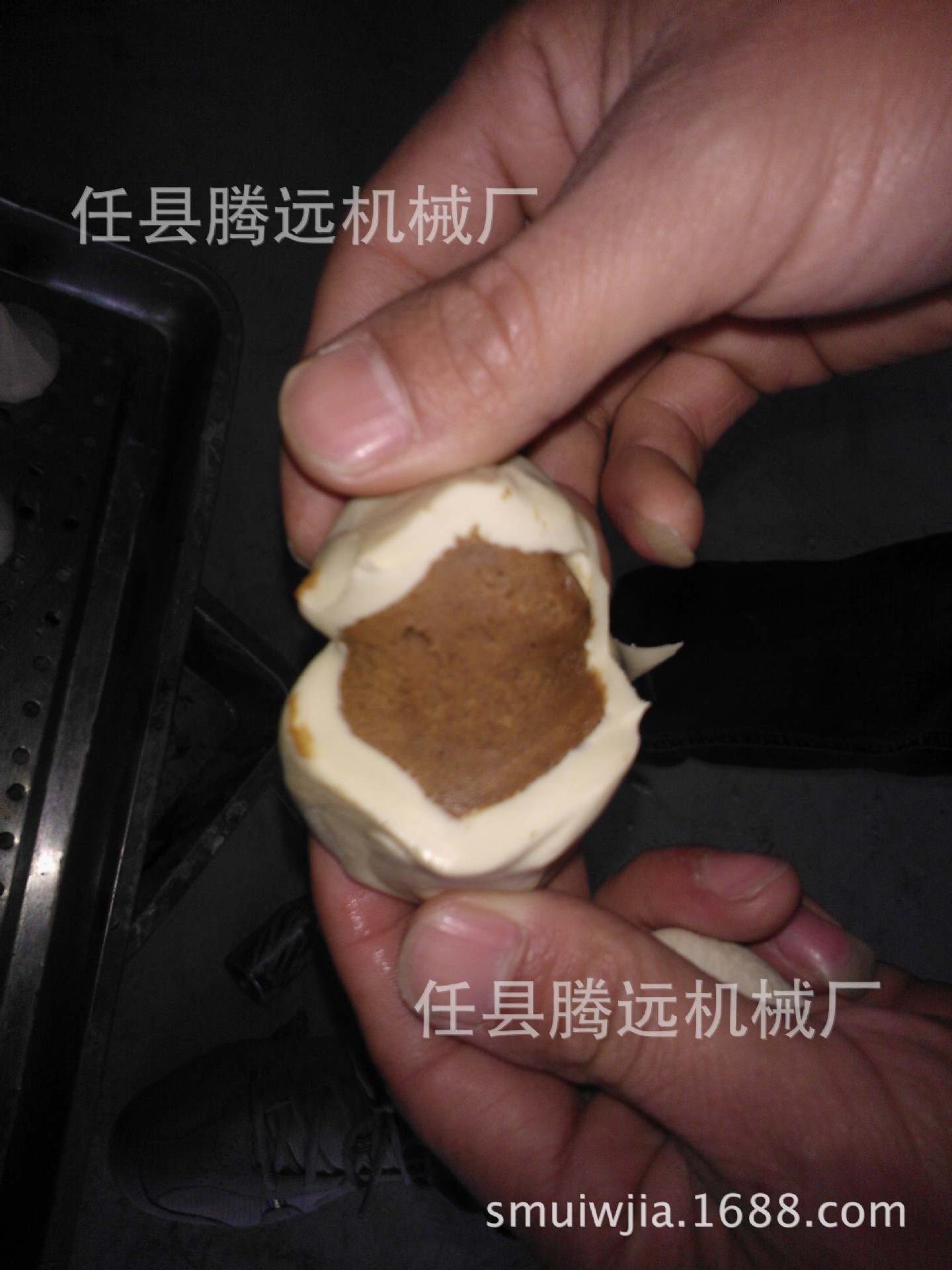 WP_000733