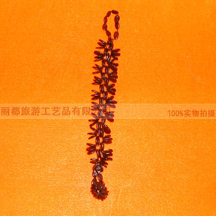 DSCN1346