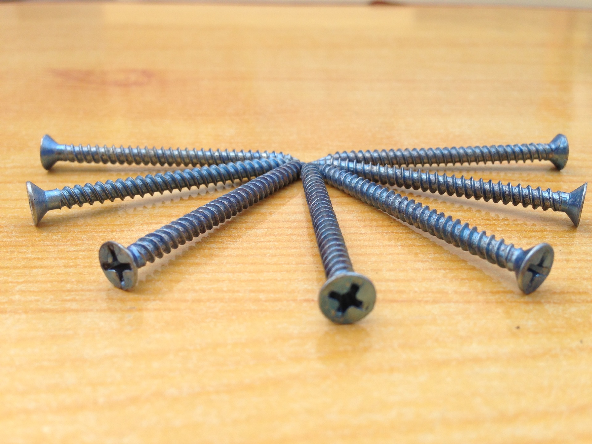 【高强度家居烤蓝自攻丝】价格,厂家,图片,钉子,青岛喜歌工贸有限公司-马可波罗网