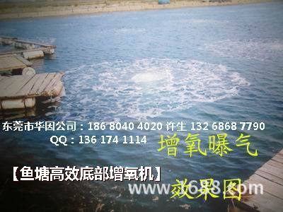 电磁式养殖增氧机 渔业机械 鱼塘增氧设备