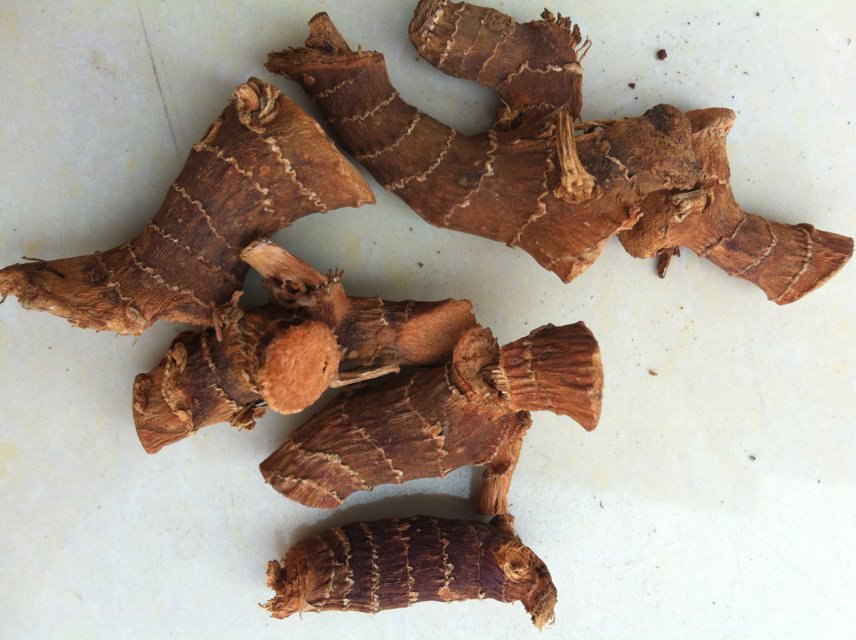 【良姜、小良姜、高良姜、香料产地直销】