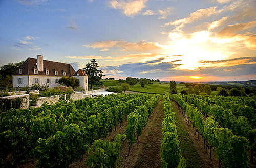 进口葡萄酒 法国罗西伯爵干红 招商代理图片_13