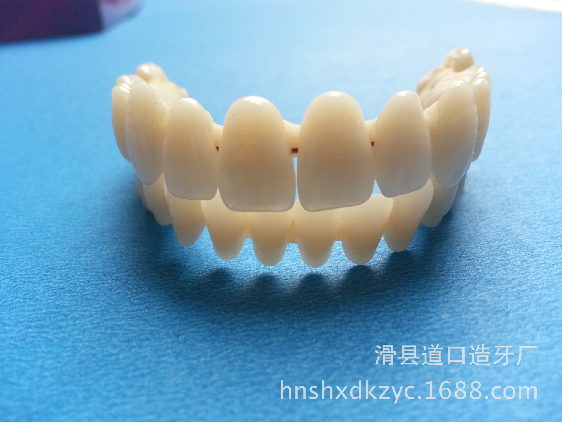 牙科材料 牙模型 超耐磨 牙齒模型 牙齒硬度 好學生 練習磨牙 牙齒 | 蝦皮購物