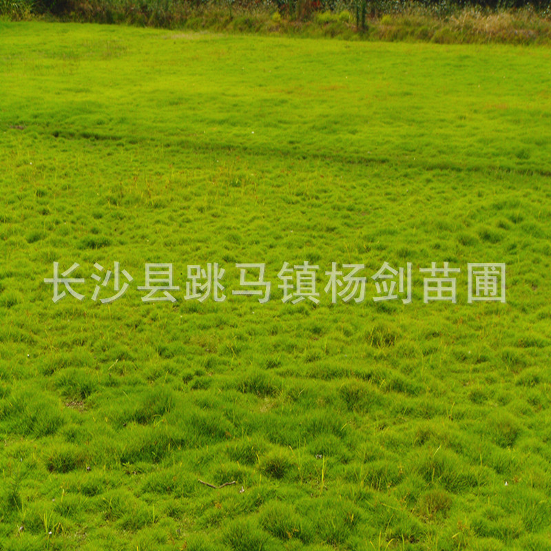 DSC01639_副本