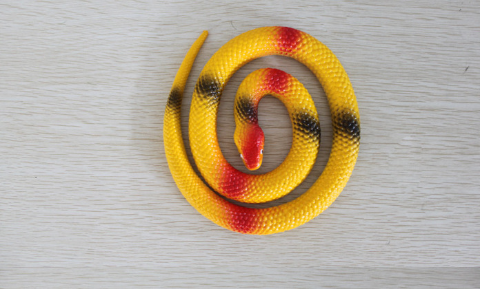 混批 整人搞怪蛇-黄色图片,混批 整人搞怪蛇-黄