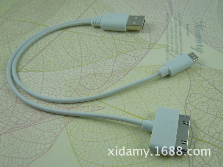 DSCN8939