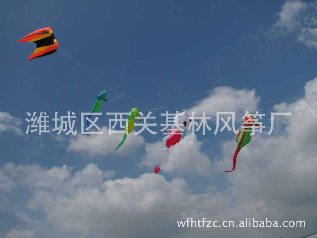 风筝潍坊--软体风筝领航(3*4米) 各色卡通软体风筝【图】