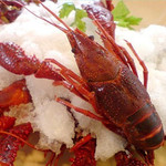 小龙虾_小龙虾供应商_小龙虾批发市场