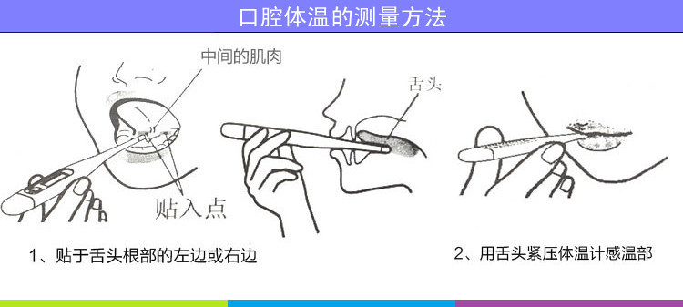 女性专用电子体温计 检测排卵期温度计 透明快度