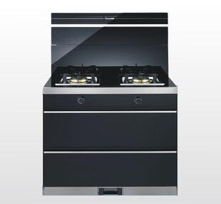 批发采购其他厨卫大件-金帝集成灶 W900 魔力