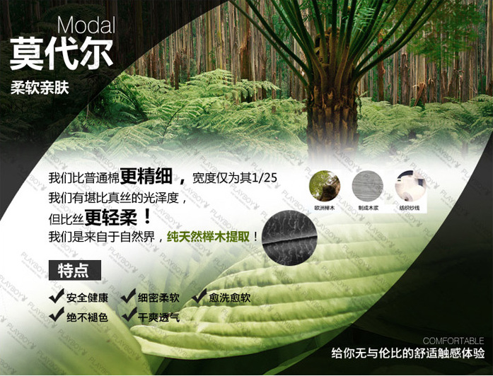 莫代爾-5