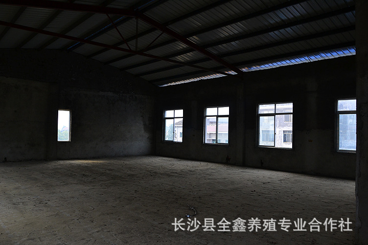 家具市场门面出售 长沙县全鑫养殖专业合作社