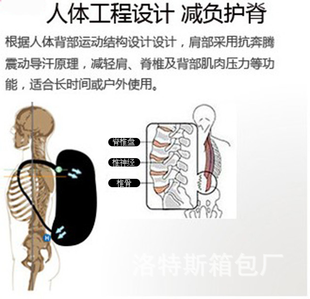 減負護脊1