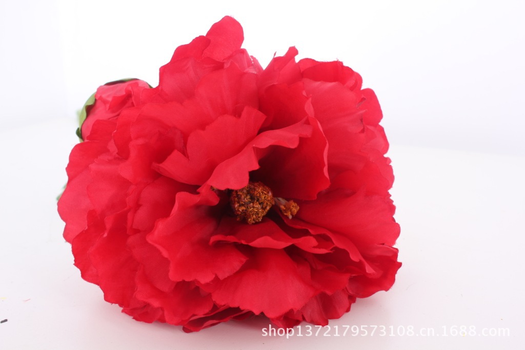 两头牡丹2 （2-Head Peony)SJB1248