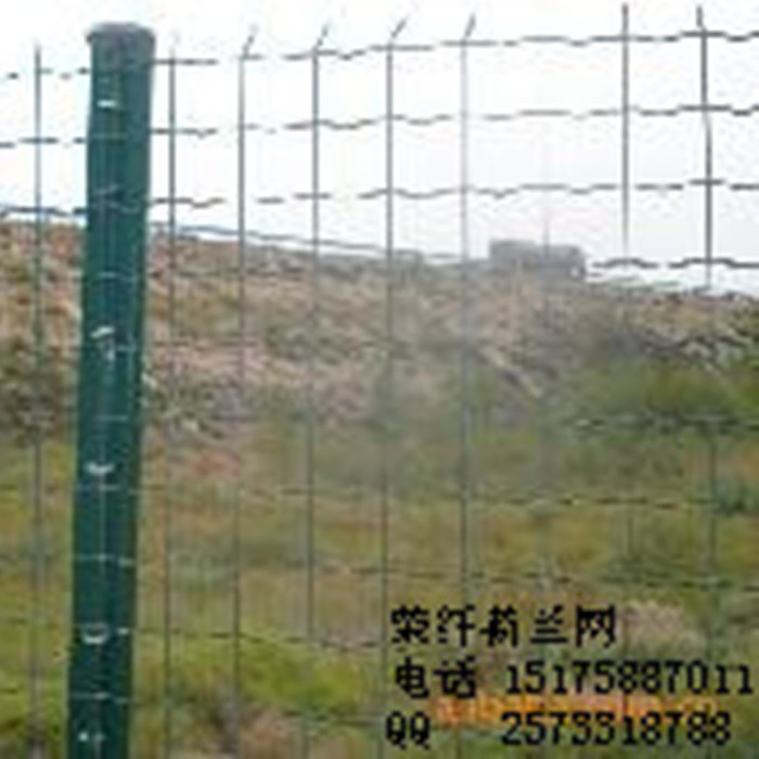 9804925s_副本_副本_副本_副本