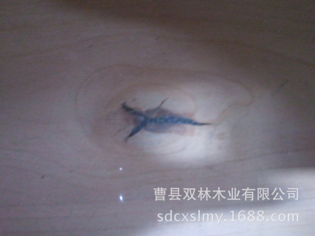 出口赤杨门疤结处