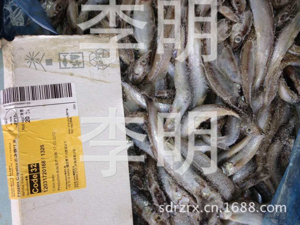 厂家批发供应优质美味多春鱼柳叶鱼串