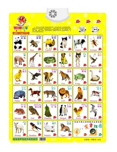 婴幼儿教具-中英文发音挂图。野生动物教学发