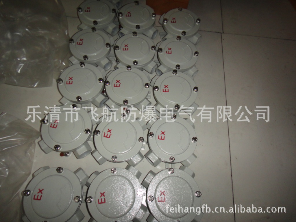 DSC00970