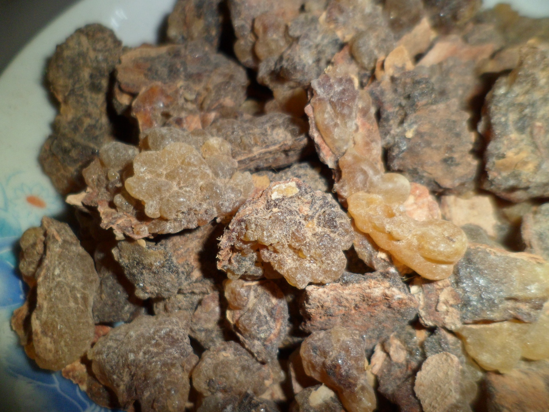 植物原药材-供应乳香,没药-植物原药材尽在阿里巴巴-邢大留(个体经营)