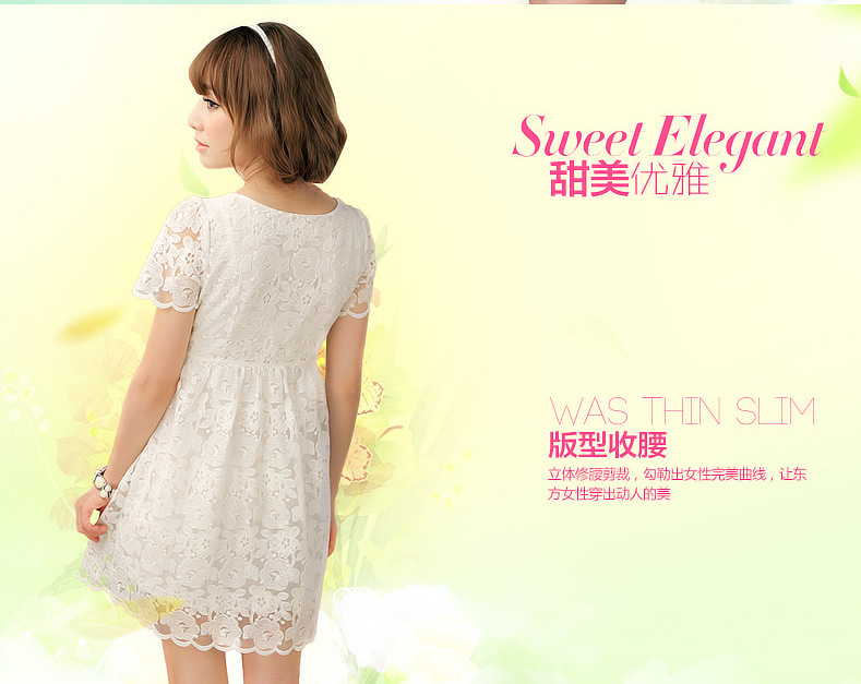 公主裙<em>批发 淑女装</em>批发 蕾丝短袖修身连衣裙 B
