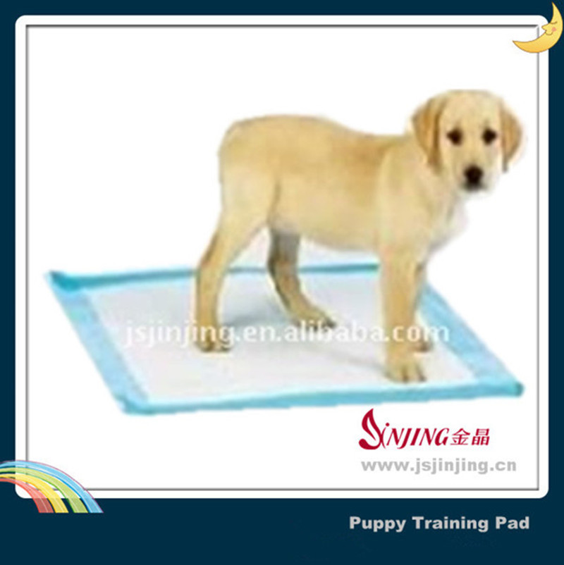 pet urine pad =!